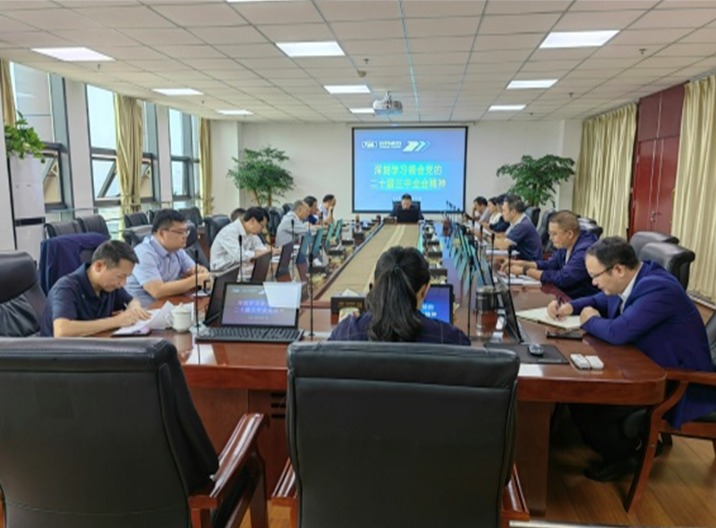 集团公司党委理论进建中心组专题进建 党的二十届三中全会心灵